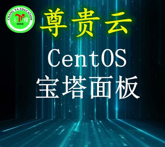 电子商务网站制作开发相关的it服务